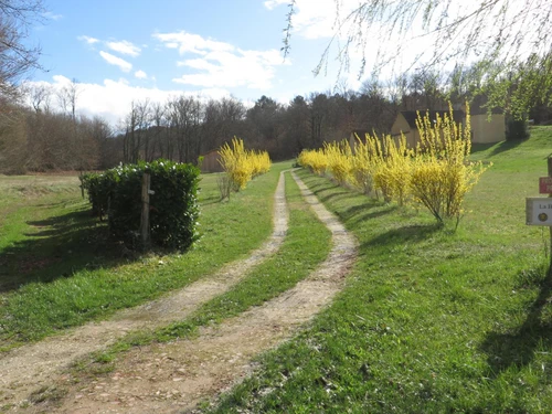 Gasthaus Sarlat-la-Canéda, 1 Schlafzimmer, 2 Personen - photo_1012079007236