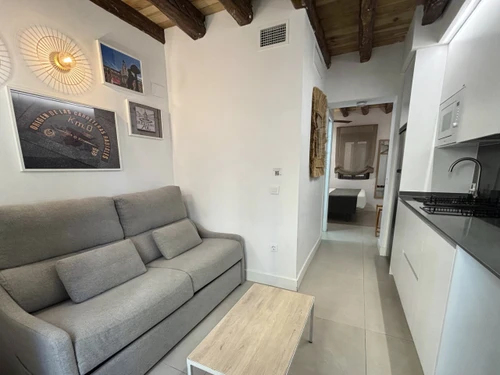 Studio Madrid, 1 pièce, 3 personnes - photo_1012030125751