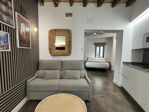 Studio Madrid, 1 pièce, 4 personnes - photo_1012030174452