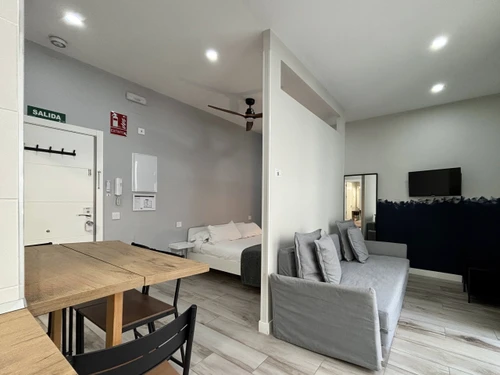 Studio Madrid, 1 pièce, 4 personnes - photo_1012030155036