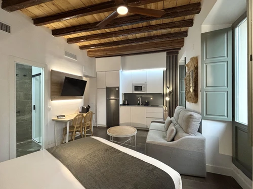 Studio Madrid, 1 pièce, 4 personnes - photo_1012030155328