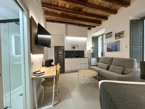 Studio Madrid, 1 pièce, 4 personnes - photo_1012031307751