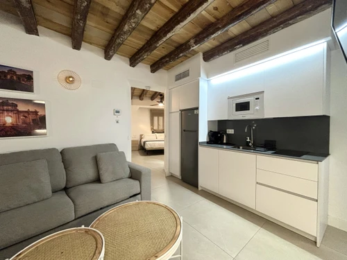 Studio Madrid, 1 pièce, 4 personnes - photo_1012030154899