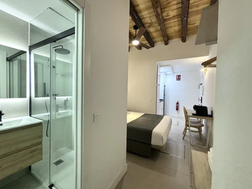 Studio Madrid, 1 pièce, 4 personnes - photo_1012030128218