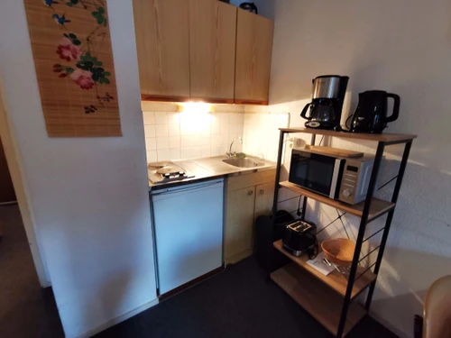 Studio Les Adrets-Prapoutel, 1 pièce, 3 personnes - photo_20171657104