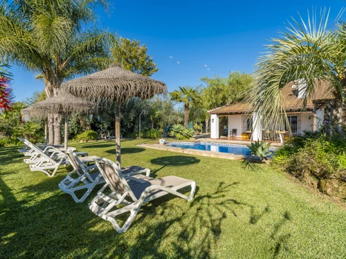 Villa Alhaurín el Grande, 5 pièces, 10 personnes - photo_1012072084279