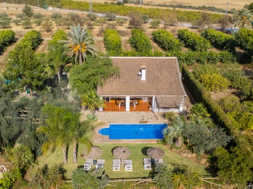 Villa Alhaurín el Grande, 5 pièces, 10 personnes - photo_1011865918157