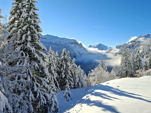 Studio Flaine, studio flat, 4 persons - photo_17724278083