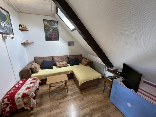 Studio Le Lioran, 1 pièce, 4 personnes - photo_1012083787428