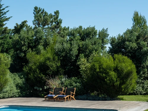 Villa Cascais, 6 pièces, 10 personnes - photo_1012084225277