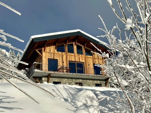 Chalet Les Gets, 4 dormitorios, 12 personas - photo_1012086817523