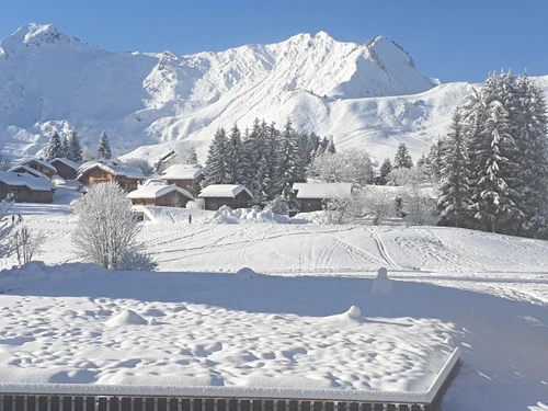 Studio Le Praz de Lys , 1 pièce, 4 personnes - photo_1011883472681