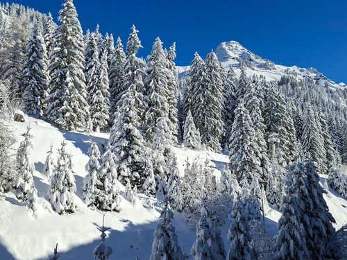 Appartement Flaine, 2 pièces, 5 personnes - photo_1011691965998