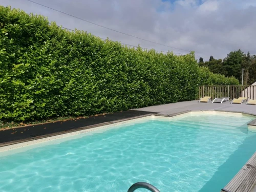 Camping Guégon, 2 pièces, 4 personnes - photo_1011815231190