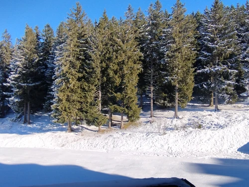 Studio Les Adrets-Prapoutel, studio flat, 3 persons - photo_1011986473462