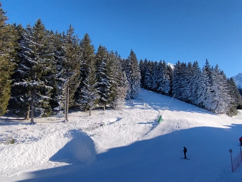 Studio Les Adrets-Prapoutel, studio flat, 3 persons - photo_1011986473462