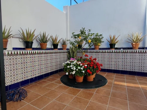 Apartment Málaga, 1 bedroom, 4 persons - photo_1012090859477