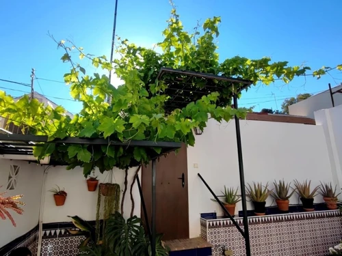 Apartment Málaga, 1 bedroom, 4 persons - photo_1012090859477