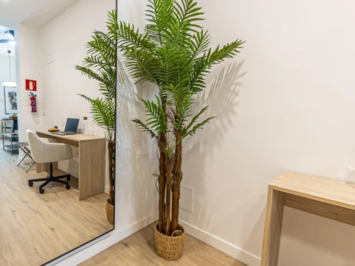 Apartment Málaga, 1 bedroom, 2 persons - photo_1012090859751