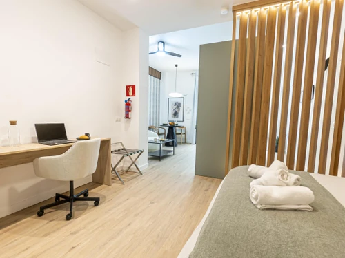 Apartment Málaga, 1 bedroom, 2 persons - photo_1012090859751