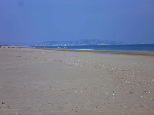 Studio Marseillan-Plage, studio flat, 4 persons - photo_1012091968885