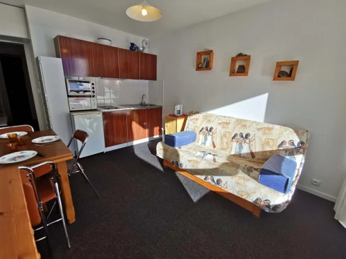 Appartement Les Adrets-Prapoutel, 1 pièce, 4 personnes - photo_1011344584949