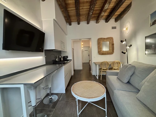 Studio Madrid, studio flat, 4 persons - photo_1012030163076