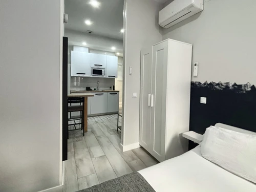 Studio Madrid, studio flat, 4 persons - photo_1012030144499