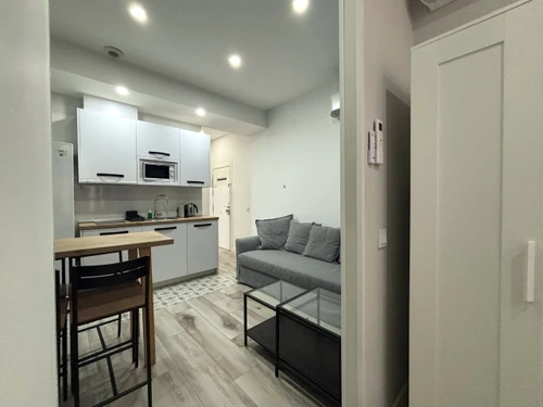Studio Madrid, studio flat, 4 persons - photo_1012030144499
