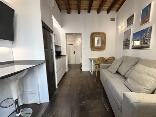 Studio Madrid, 1 pièce, 3 personnes - photo_1012030148081