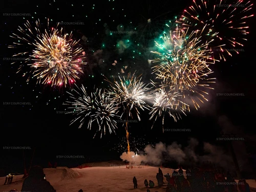 Apartamento La Tania, 1 dormitorio, 4 personas - photo_1012095410149