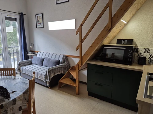 Studio Le Lioran, 1 bedroom, 6 persons - photo_1011769609152