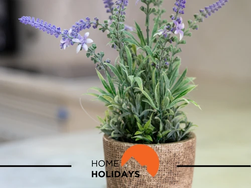 Ferienwohnung Albufeira, 2 Schlafzimmer, 6 Personen - photo_1011865742048