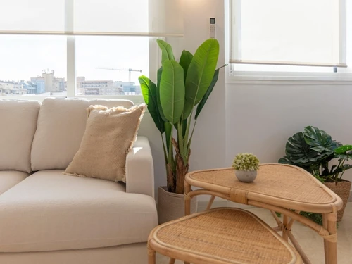 Apartment Fuengirola, 2 bedrooms, 4 persons - photo_1012099091267