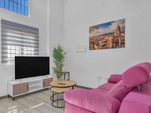 Apartment Málaga, 1 bedroom, 3 persons - photo_1012099099692