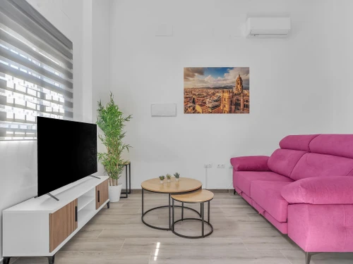 Apartment Málaga, 1 bedroom, 3 persons - photo_1012099099692