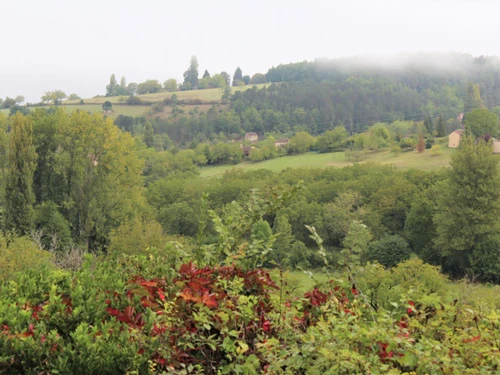 Gite Belvès, 3 bedrooms, 6 persons - photo_1012104881163