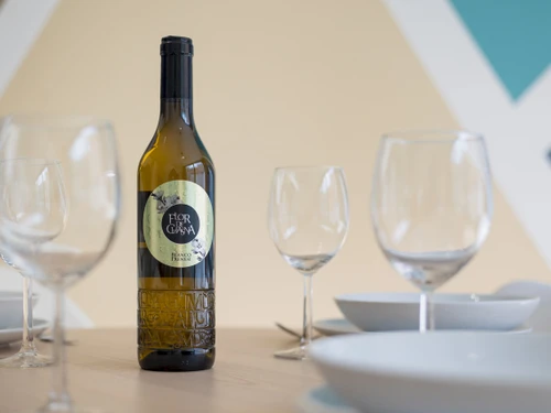 Apartment El Cotillo, 1 bedroom, 3 persons - photo_1012111105941