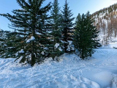 Studio Val-d'Isère, studio flat, 3 persons - photo_18466636208