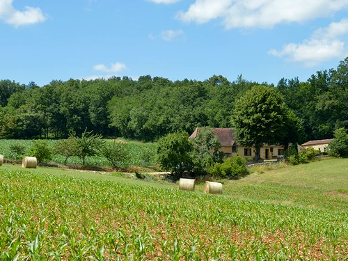 Casa rural Pezuls, 2 dormitorios, 5 personas - photo_1011700303546