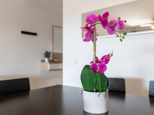 Appartement Marbella, 3 pièces, 4 personnes - photo_1012127085844