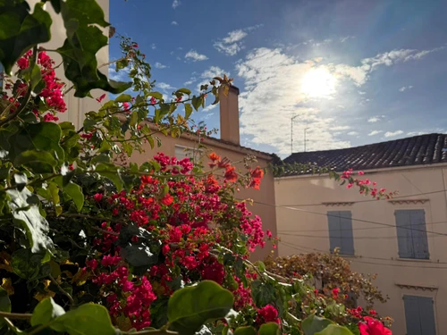 Appartement Banyuls-sur-Mer, 3 pièces, 4 personnes - photo_8415899638