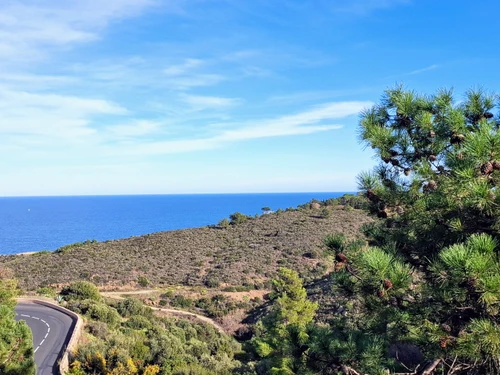 Apartment Banyuls-sur-Mer, 1 bedroom, 4 persons - photo_8415897143