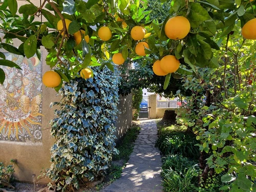 Maison Banyuls-sur-Mer, 4 pièces, 6 personnes - photo_8415899722