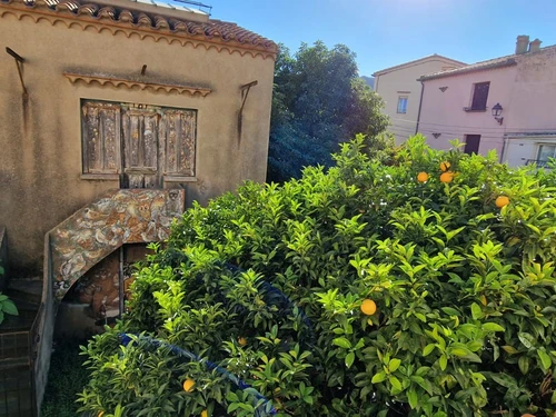 Maison Banyuls-sur-Mer, 4 pièces, 6 personnes - photo_8415899722