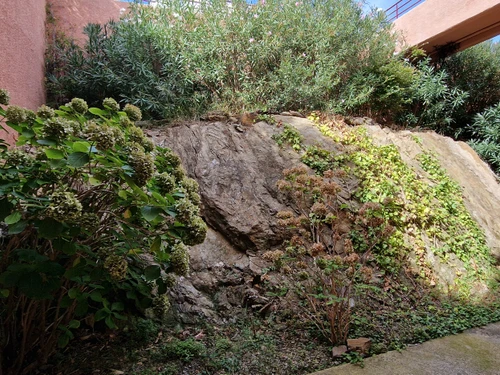 Appartement Banyuls-sur-Mer, 2 pièces, 4 personnes - photo_1012127185613