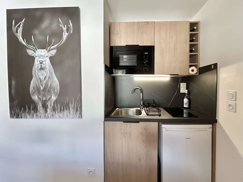 Apartamento Demi-Quartier, 1 dormitorio, 4 personas - photo_1012129201606