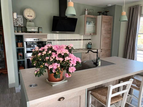 Gîte Gy, 4 pièces, 6 personnes - photo_1011823384155