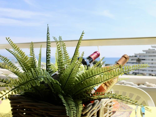 Apartamento Villeneuve-Loubet, 1 dormitorio, 4 personas - photo_14759006102