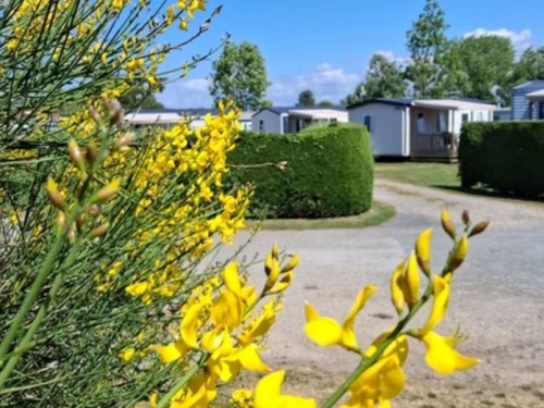 Camping Quend, 3 pièces, 4 personnes - photo_1012081751678